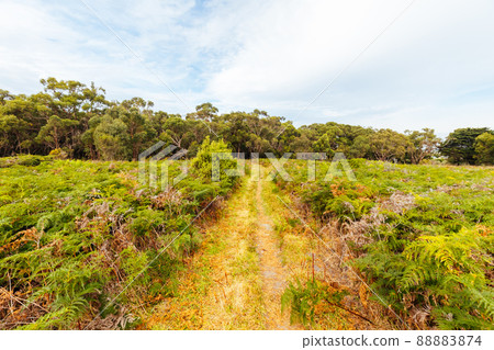 Two Bays Walking Track in Australia Two Bays Walking Track in Australia 88883874