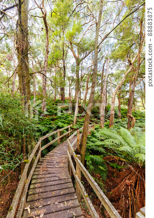 Two Bays Walking Track in Australia Two Bays Walking Track in Australia 88883875
