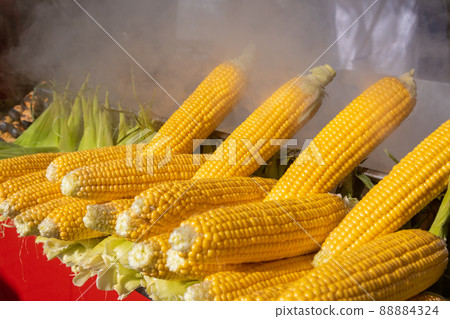 Fresh corn cobs at a vendor stall in Istanbul Turkey Fresh corn cobs at a vendor stall in Istanbul Turkey 88884324