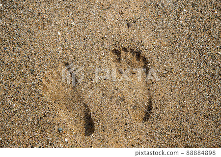 Footprints left on the beach Footprints left on the beach 88884898
