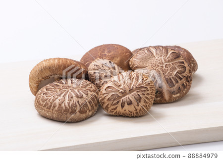 Shiitake Mushroom Log Shiitake Mushroom Shiitake Raw Shiitake Naturally Cultivated 88884979