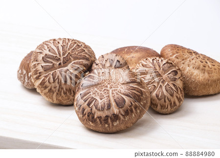 Shiitake Mushroom Log Shiitake Mushroom Shiitake Raw Shiitake Naturally Cultivated 88884980
