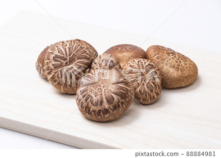 Shiitake Mushroom Log Shiitake Mushroom Shiitake Raw Shiitake Naturally Cultivated 88884981