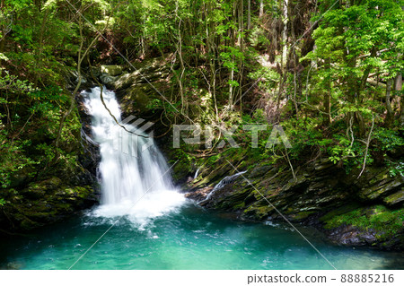 Shizuoka Prefecture Hamamatsu City Shirakura Gorge Kioribuchi Waterfall Fresh Green 88885216