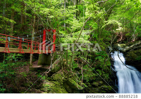 Shizuoka Prefecture Hamamatsu City Shirakura Gorge Kioribuchi Waterfall Fresh Green 88885218
