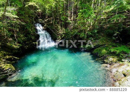 Shizuoka Prefecture Hamamatsu City Shirakura Gorge Kioribuchi Waterfall Fresh Green 88885220