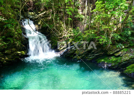 Shizuoka Prefecture Hamamatsu City Shirakura Gorge Kioribuchi Waterfall Fresh Green Shizuoka Prefecture Hamamatsu City Shirakura Gorge Kioribuchi Waterfall Fresh Green 88885221