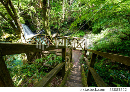 Shizuoka Prefecture Hamamatsu City Shirakura Gorge Kioribuchi Waterfall Fresh Green 88885222