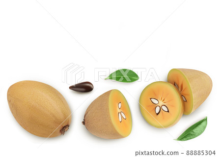 Sapodilla isolated on white background with clipping path and full depth of field. Top view. Flat lay 88885304