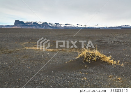 Icelandic black sand plain with dry grass 88885345