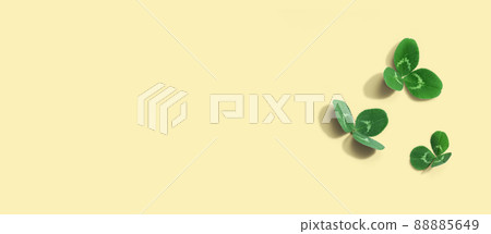 Clover leaves - St. Patricks Day Clover leaves - St. Patricks Day 88885649