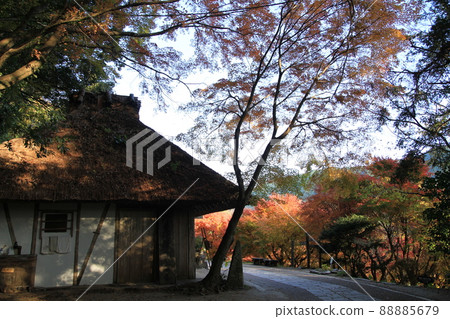 Old road teahouse 88885679