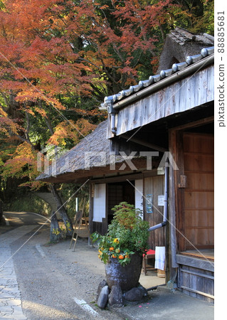 Teahouse and autumn leaves 88885681