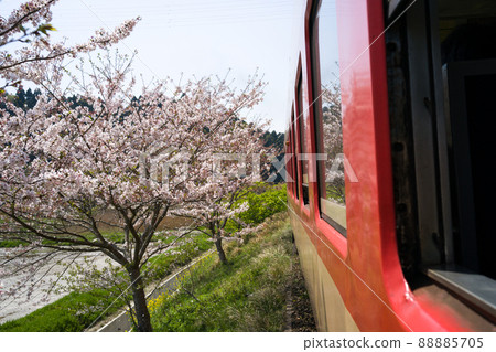 伊隅鐵道的 JNR 電車 Kiha 52 和 Kiha 28 特快列車的車窗 當櫻花和油菜花從春天變成新鮮的綠色時節 88885705