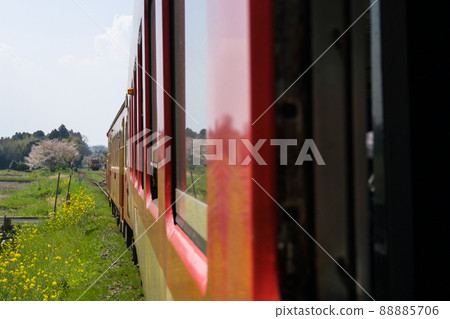 伊隅鐵道的 JNR 電車 Kiha 52 和 Kiha 28 特快列車的車窗 當櫻花和油菜花從春天變成新鮮的綠色時節 88885706