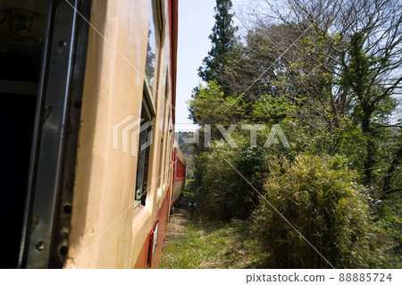 伊隅鐵道的 JNR 電車 Kiha 52 和 Kiha 28 特快列車的車窗 當櫻花和油菜花從春天變成新鮮的綠色時節 伊隅鐵道的 JNR 電車 Kiha 52 和 Kiha 28 特快列車的車窗 當櫻花和油菜花從春天變成新鮮的綠色時節 88885724