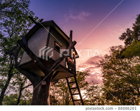 Tree house at dusk 88886201