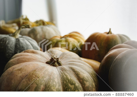 Toned autumn background with pile of pumpkins 88887460