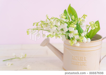 Lily of the valley in a pink watering can 88887698