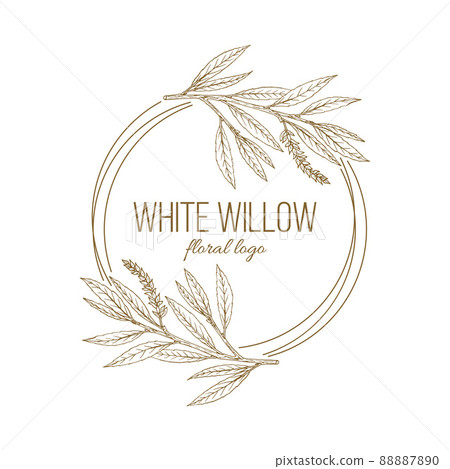 White willow floral hand drawn logo template 88887890