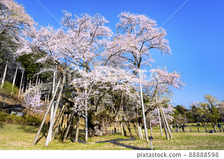 Neno valley Mombakura Neno valley Mombakura 88888598