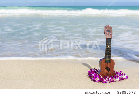 Ukulele and lei flower necklace on Hawaii beach. Hawaiian travel icons for tourism vacation background Ukulele and lei flower necklace on Hawaii beach. Hawaiian travel icons for tourism vacation background 88889578