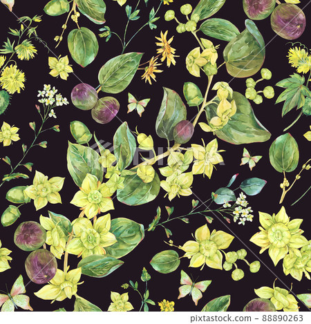 Watercolor summer yellow flowers seamless pattern. Botanical sidr floral texture, vintage wallpaper on black background Watercolor summer yellow flowers seamless pattern. Botanical sidr floral texture, vintage wallpaper on black background 88890263