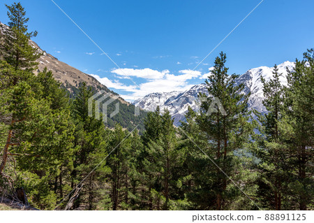 Beautiful view of the snowy mountains 88891125