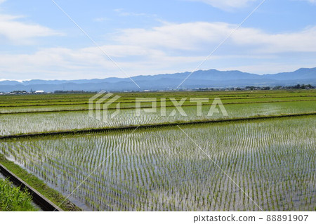 日本著名稻田之一山形縣莊內的田園風光 88891907