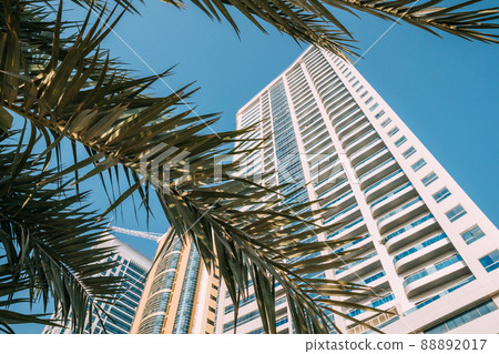 Wall With A Balcony Of New Empty Modern Multi-storey Residential Building House In Residential Area On Sunny Blue Sky Under Palm Branches Wall With A Balcony Of New Empty Modern Multi-storey Residential Building House In Residential Area On Sunny Blue Sky Under Palm Branches 88892017