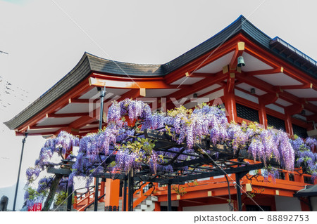 "Tokyo" Kagurazaka / Bishamonten Zenkokuji Temple "Tokyo" Kagurazaka / Bishamonten Zenkokuji Temple 88892753