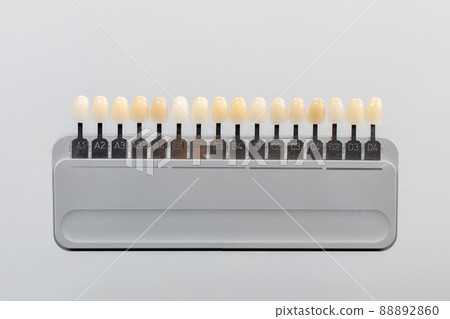Palette of shades of teeth scale vita. A tool for teeth whitening isolate on a gray background. Palette of shades of teeth scale vita. A tool for teeth whitening isolate on a gray background. 88892860