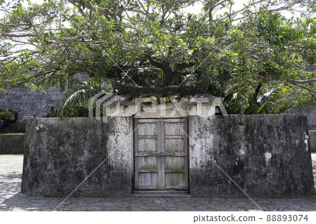 首里城Shuratomori Utagi 首里城Shuratomori Utagi 88893074