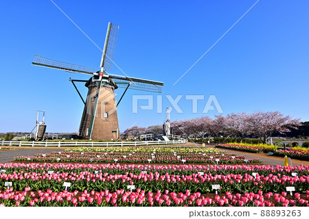 Sakura Furusato Square 88893263