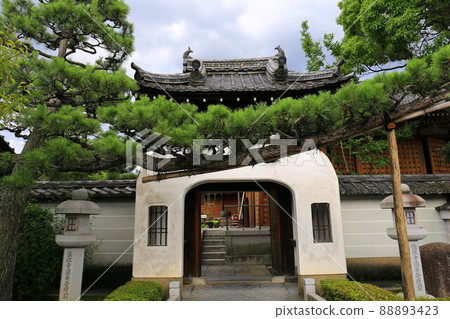 Ryugu Gate and Pine Trees at Hojuji Temple 88893423