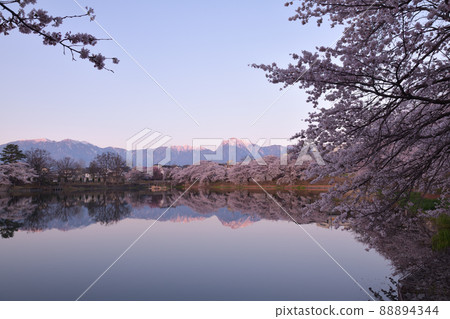 Nagasaka-cho, Hokuto City, spring of Lake Nagasaka, cherry blossoms in full bloom, quiet morning, mountain range in the morning sun 88894344