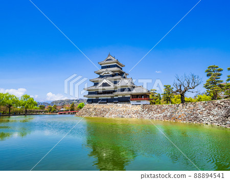 National Treasure Matsumoto Castle in Spring National Treasure Matsumoto Castle in Spring 88894541