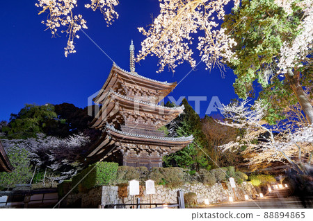 Three-storied pagoda and cherry blossoms that shine in the light up 88894865