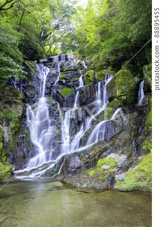 Beautiful Shiraito Waterfall, a popular tourist spot in Itoshima (Itoshima City, Fukuoka Prefecture) Beautiful Shiraito Waterfall, a popular tourist spot in Itoshima (Itoshima City, Fukuoka Prefecture) 88895455