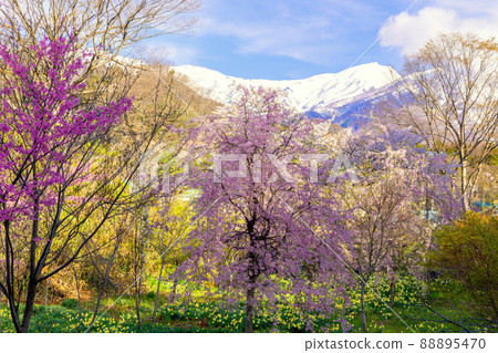 Flowering water gorge 88895470