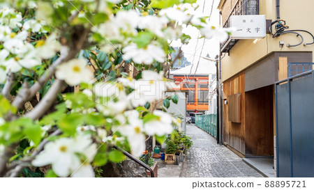 "Tokyo" Kagurazaka, back alley scenery 88895721