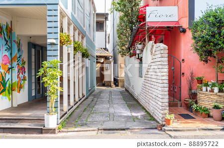 "Tokyo" Kagurazaka, back alley scenery 88895722