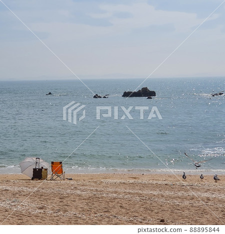 海邊的暑假 88895844