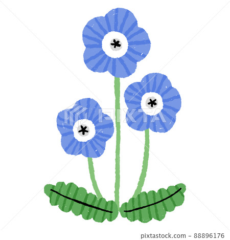 Hand-painted nemophila flowers Hand-painted nemophila flowers 88896176
