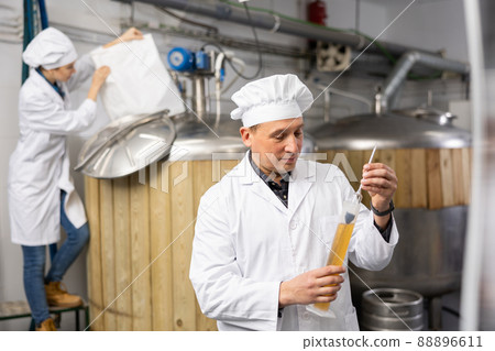Brewery owner checking alcoholic content in beer with hydrometer 88896611