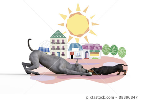 A scene where Great Dane and Dachshund are squeezing their noses and flirting with each other 88896847