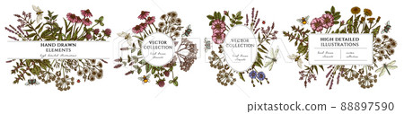 Tea herbs hand drawn frame templates. Vintage illustrations of chamomile, mint, chicory, etc. 88897590