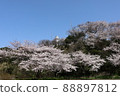 藍天、櫻花和白色燈塔 88897812