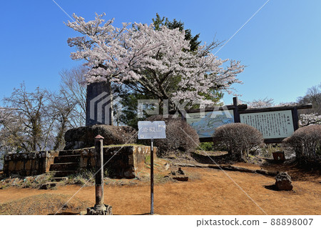 The summit of Mt. Iwaden and the cherry blossoms in full bloom (Otsuki City, Yamanashi Prefecture) The summit of Mt. Iwaden and the cherry blossoms in full bloom (Otsuki City, Yamanashi Prefecture) 88898007