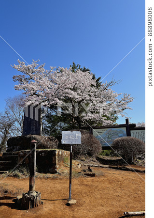 The summit of Mt. Iwaden and the cherry blossoms in full bloom (Otsuki City, Yamanashi Prefecture) The summit of Mt. Iwaden and the cherry blossoms in full bloom (Otsuki City, Yamanashi Prefecture) 88898008